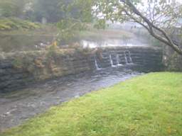 millstreet 10500.jpg